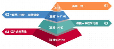 背景提升新视野 从STEAM素拓到生涯规划，SA特优生定义未来竞争力